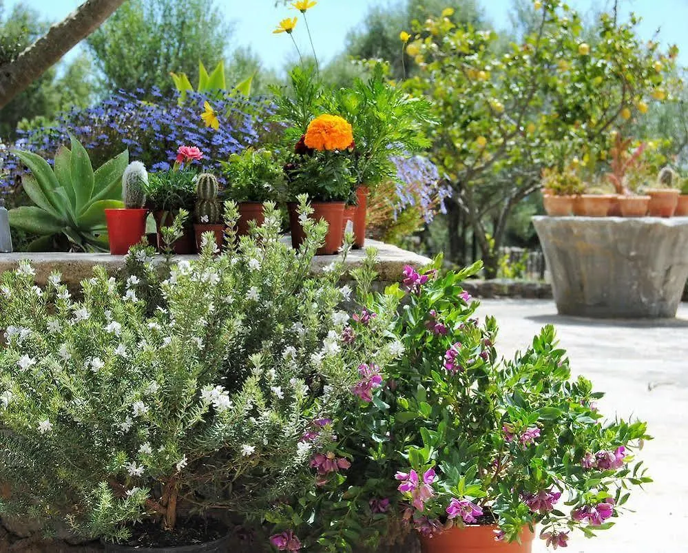 Appartement Agroturismo Son Not Artá Spanje